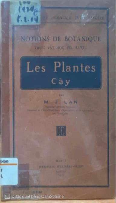 Les Plantes Cây