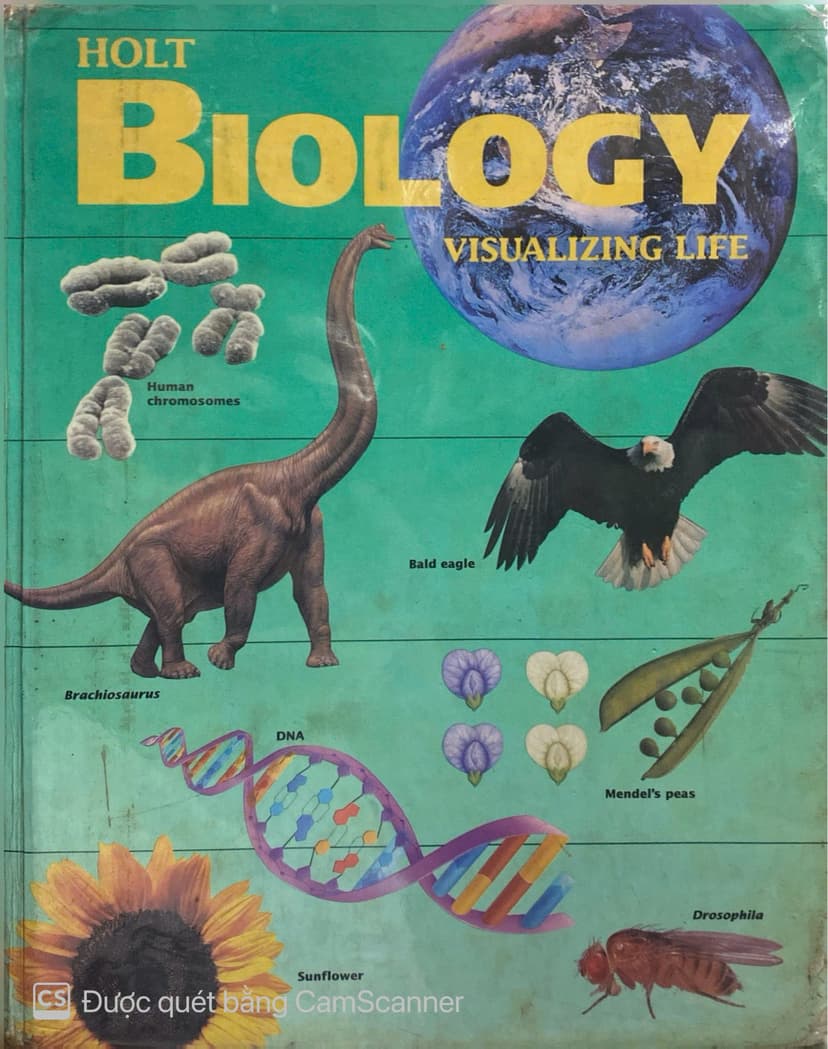 Biology Visualizing Life
