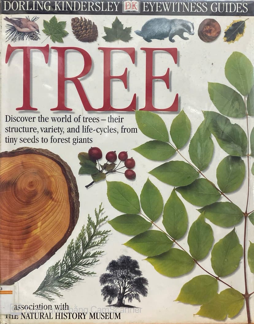TREE