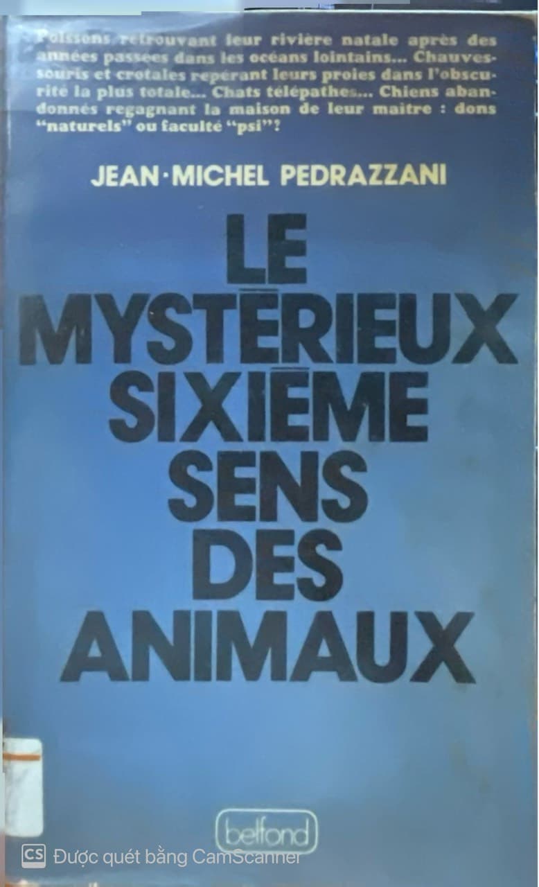 Le Mystérieux Sixème Sens Des Animaux