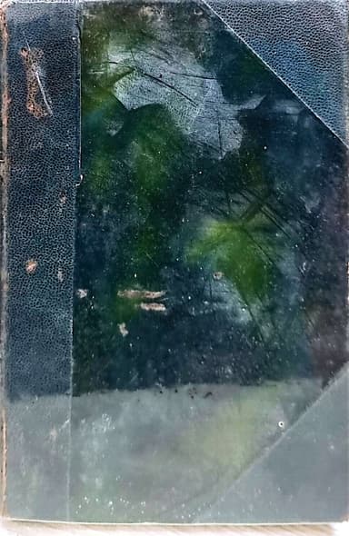 La Terre et l' Évolution Humaine